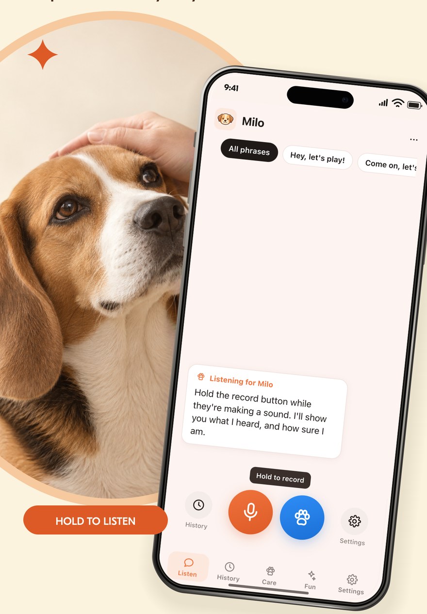 Telltail listening for Milo, a beagle